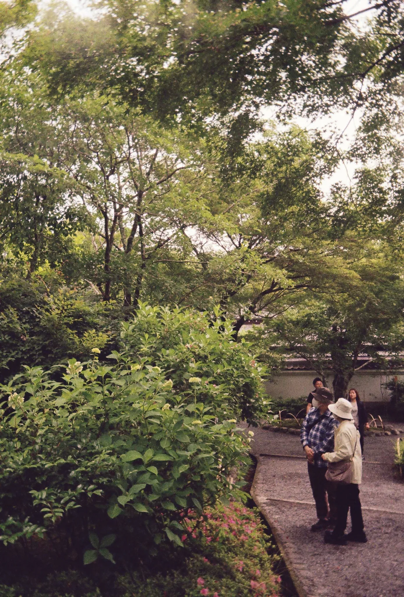 Japan on Film 2025 — photo 11